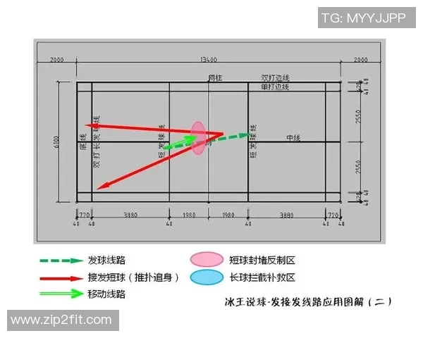 上海羽毛球队反击战术解析与实战应用探讨