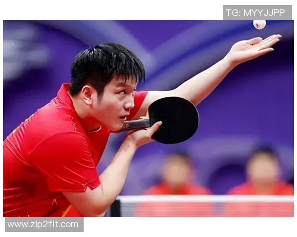 成都乒乓球队比赛经验创新高引发关注助力未来发展新篇章