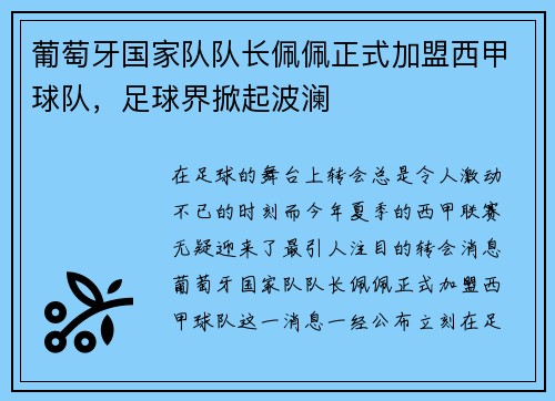 葡萄牙国家队队长佩佩正式加盟西甲球队，足球界掀起波澜